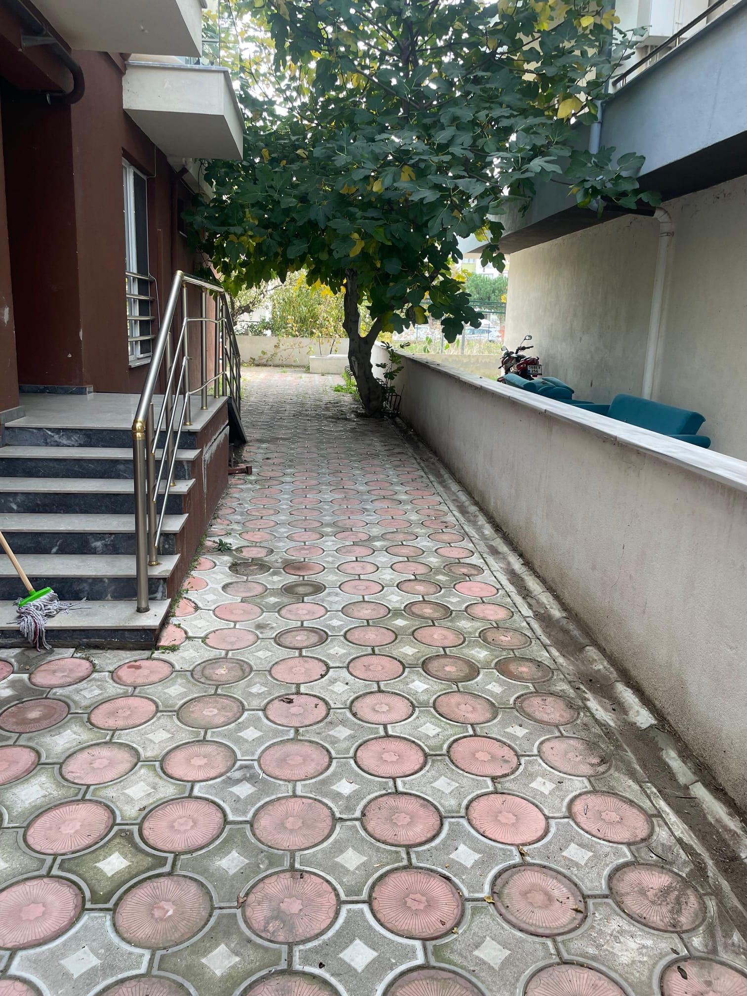 Sonra - Peyzaj Bakımı